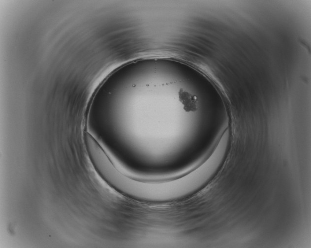 X0000103441484200809191713