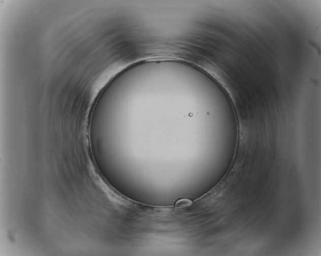 X0000103441485200809191713