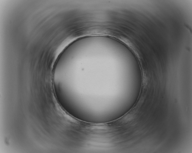 X0000103441486200809191713