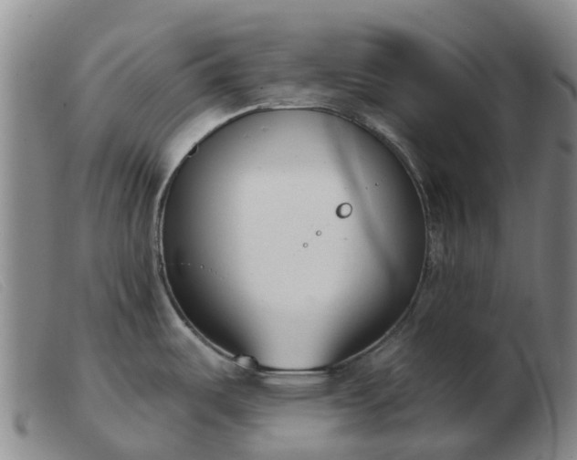 X0000103441487200809191713