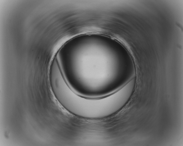 X0000103441488200809191713