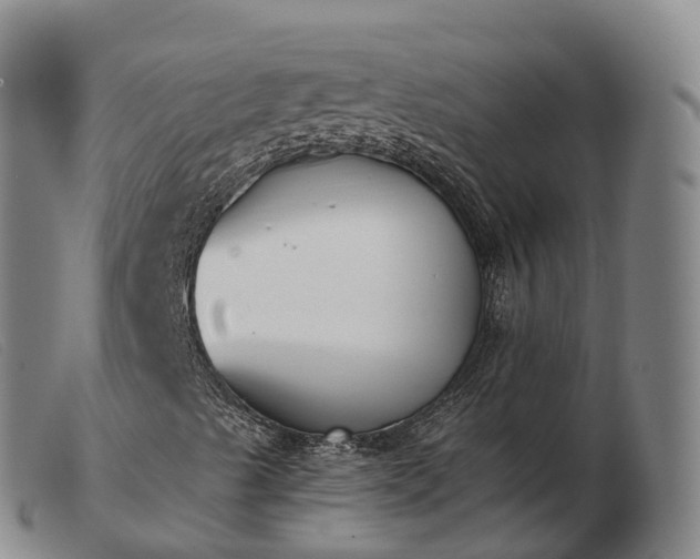 X0000103441489200809191712