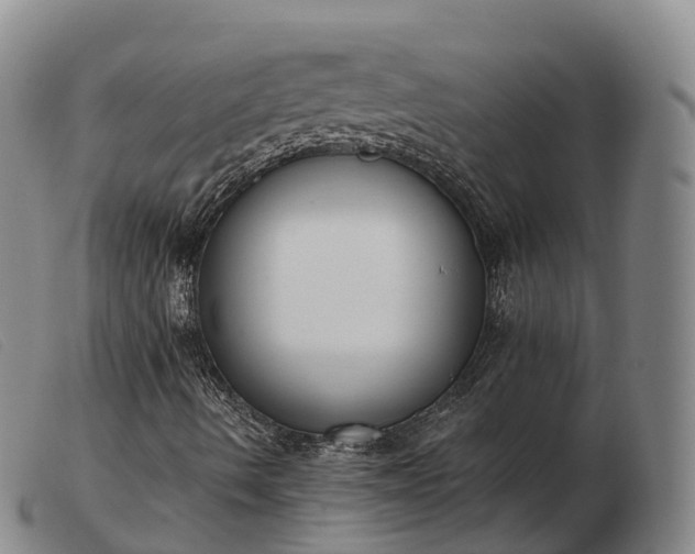 X0000103441490200809191712