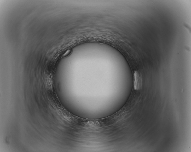X0000103441491200809191712