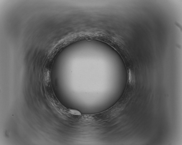 X0000103441492200809191712