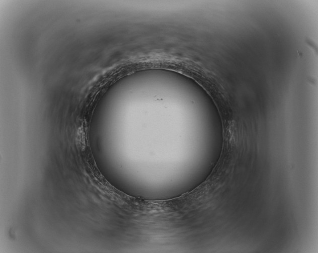 X0000103441493200809191712