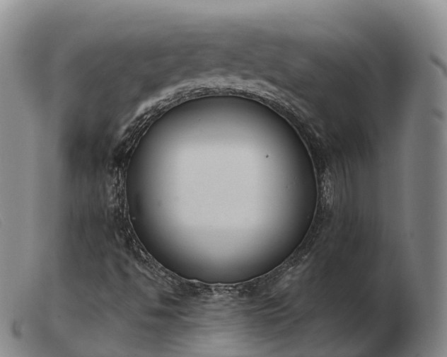 X0000103441494200809191712