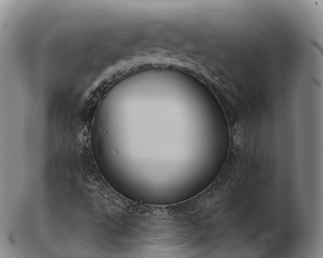 X0000103441495200809191712