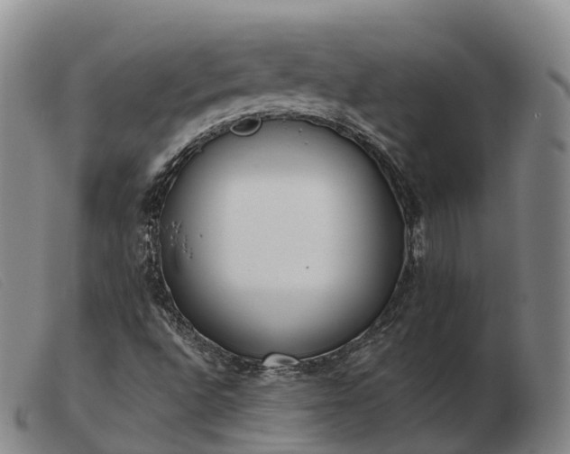 X0000103441496200809191712