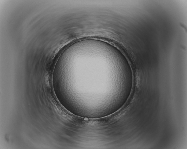 X0000103441497200809191712
