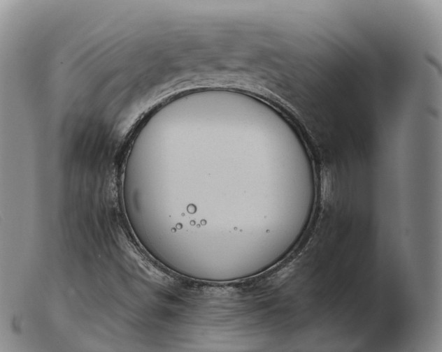 X0000103441498200809191712