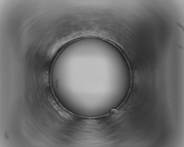 X0000103441499200809191712