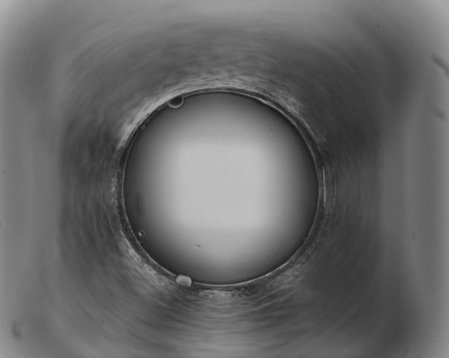X0000103441500200809191712