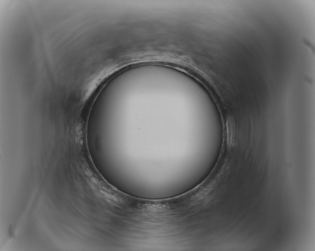 X0000103441501200809191712