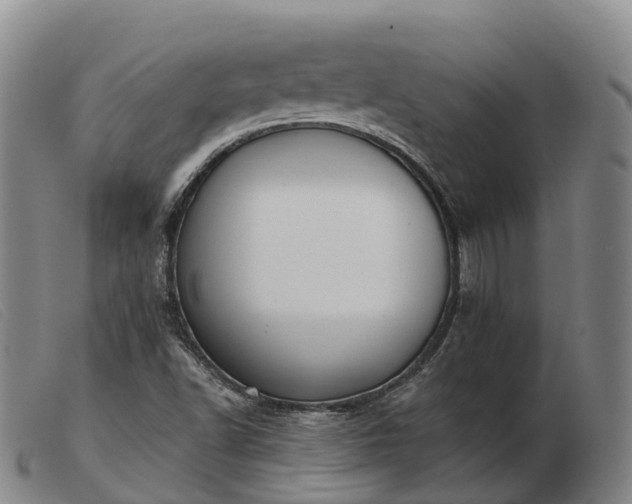 X0000103441502200809191712