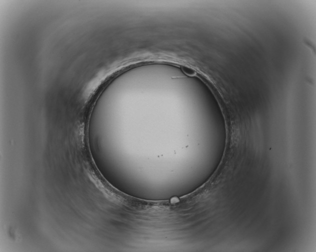 X0000103441503200809191712