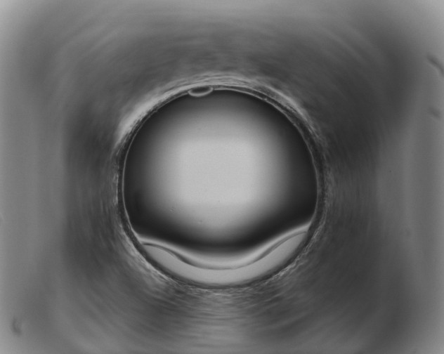 X0000103441504200809191712