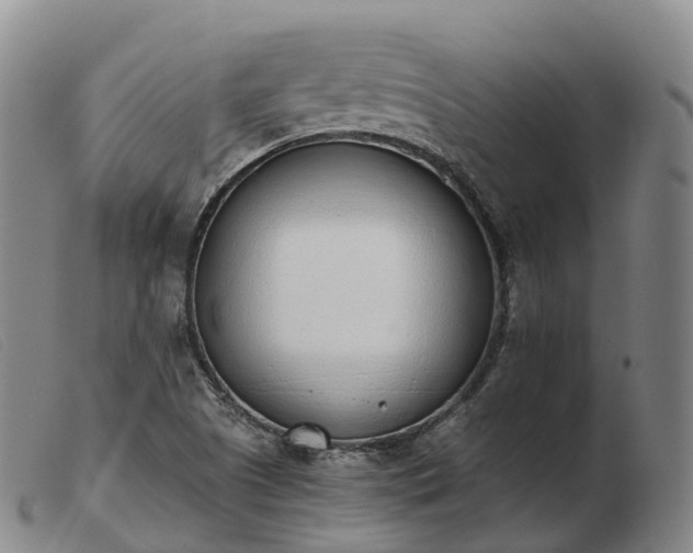 X0000103441505200809191712