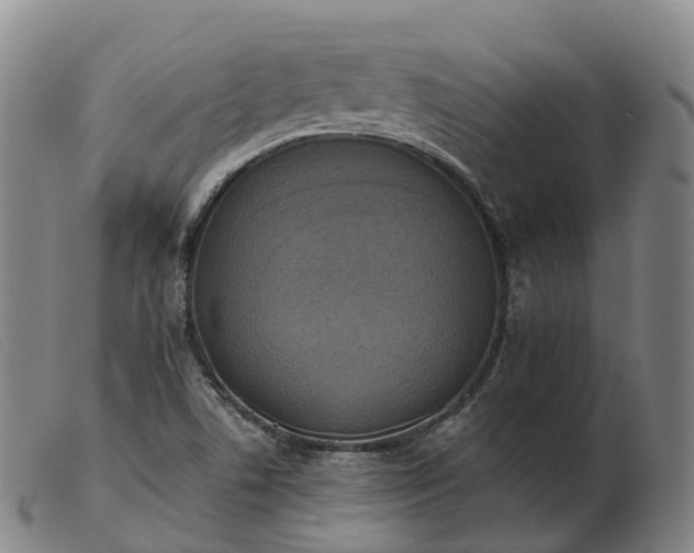 X0000103441506200809191712