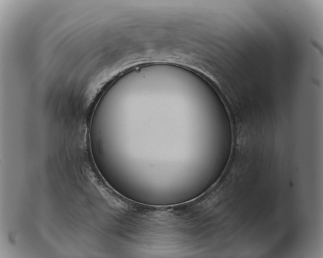 X0000103441507200809191712