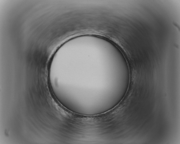 X0000103441508200809191712