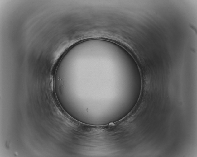 X0000103441509200809191712