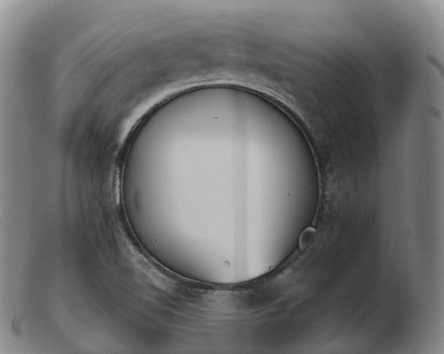 X0000103441510200809191712