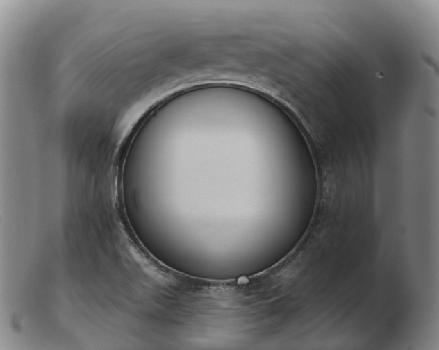 X0000103441511200809191712