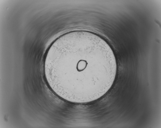 X0000103441514200809191712