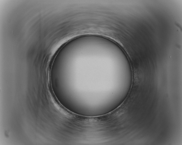 X0000103441515200809191712