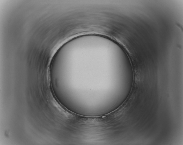 X0000103441516200809191712
