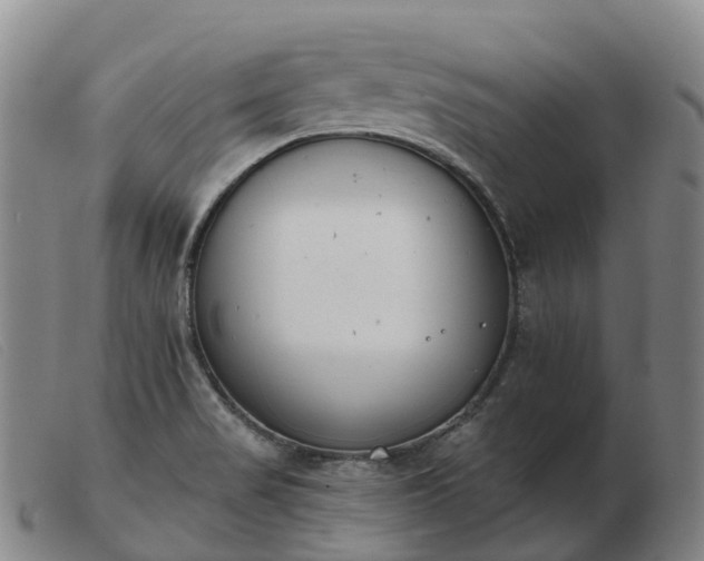 X0000103441517200809191712