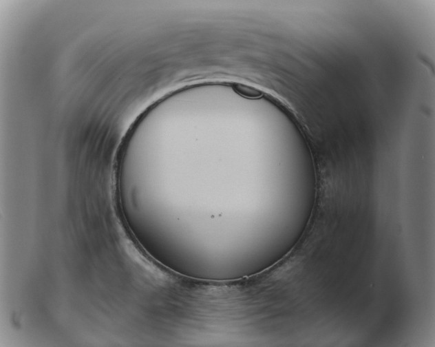 X0000103441518200809191712