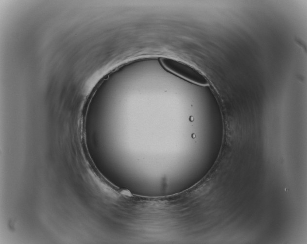 X0000103441519200809191712
