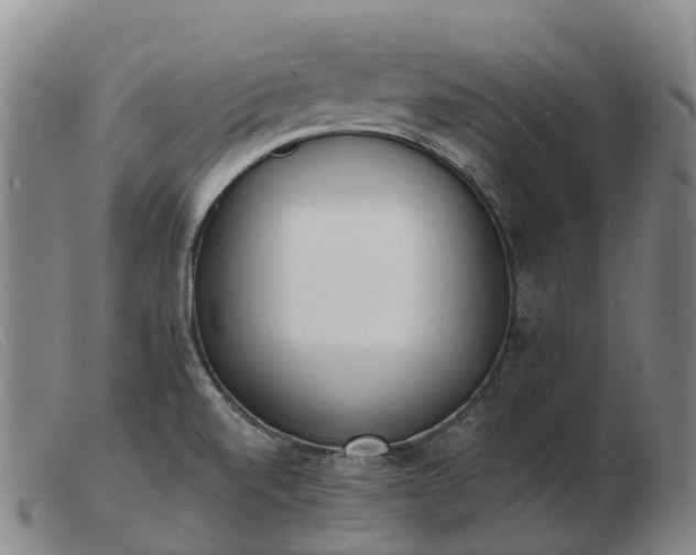 X0000103441520200809191712