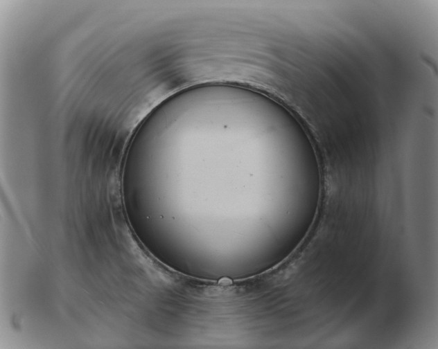 X0000103441521200809191712