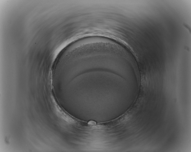 X0000103441522200809191712