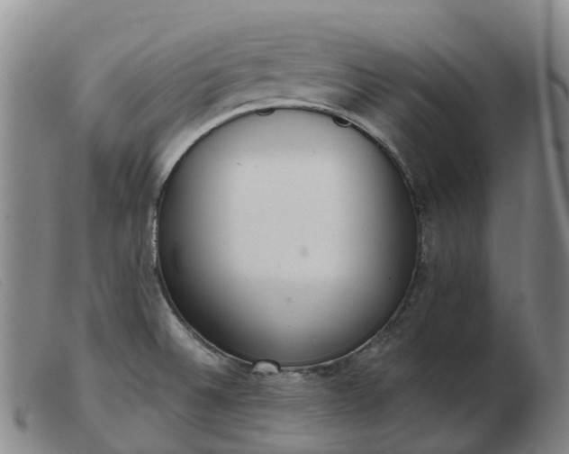 X0000103441524200809191712