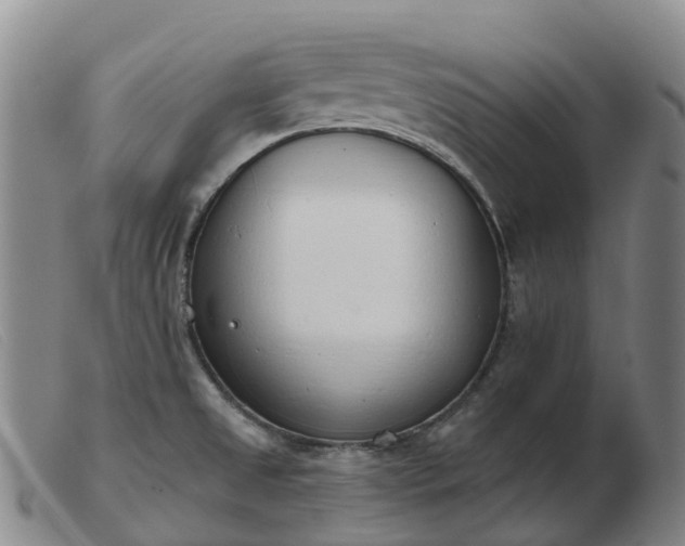 X0000103441525200809191712
