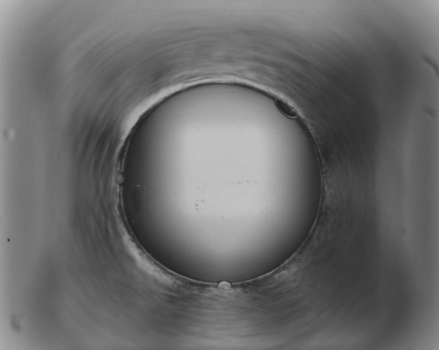 X0000103441526200809191712