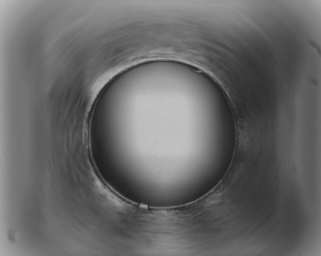 X0000103441527200809191712