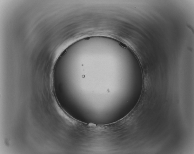 X0000103441528200809191712
