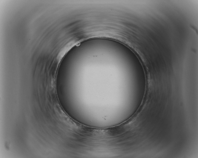 X0000103441529200809191712