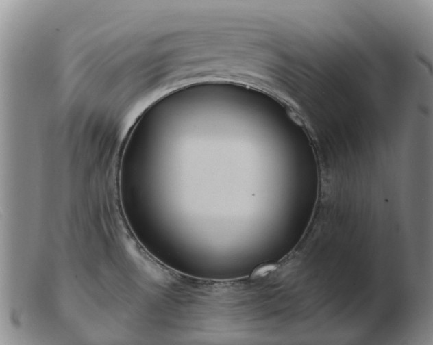 X0000103441530200809191712