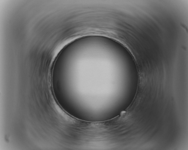 X0000103441531200809191712