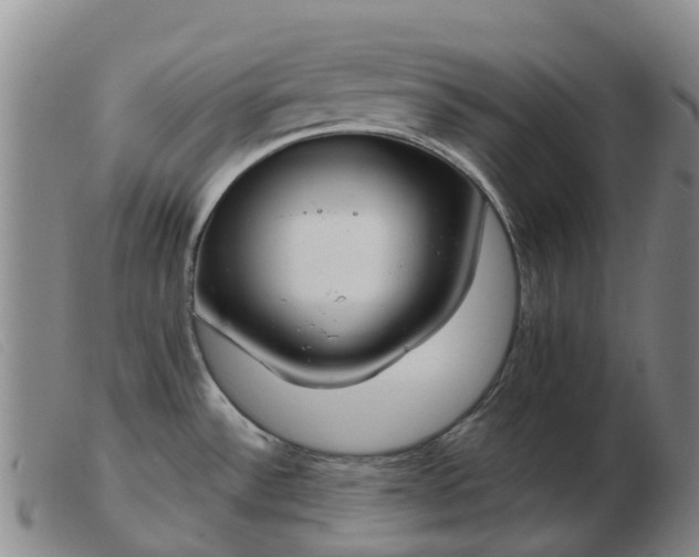X0000103441532200809191712