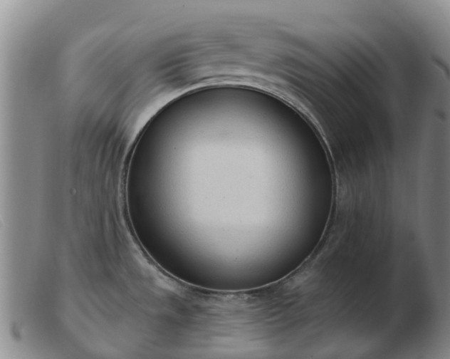 X0000103441533200809191713