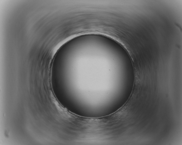 X0000103441534200809191713