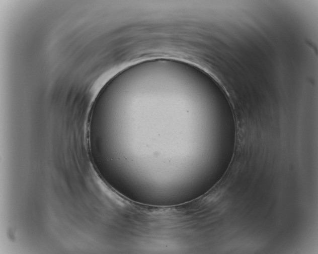 X0000103441535200809191713