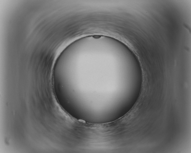 X0000103441536200809191713